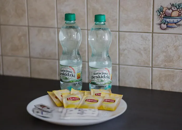 Katowicka Comfort By Bookinghost Апартаменты